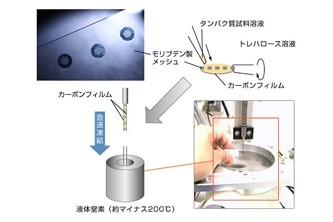 膜タンパク質の形を描き出し、創薬に貢献する電子顕微鏡の開発 | NEDO