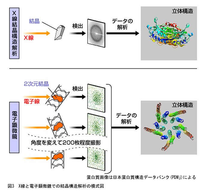 膜タンパク質の形を描き出し、創薬に貢献する電子顕微鏡の開発 | NEDO | 実用化ドキュメント