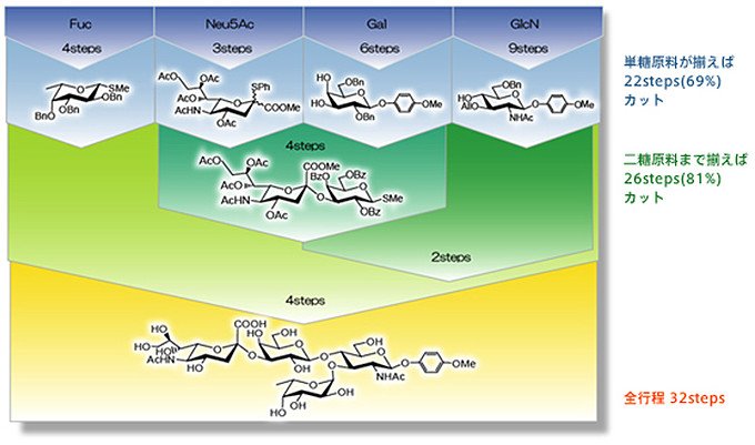糖鎖生物学―生命現象と糖鎖情報― | 北島 健, 佐藤 ちひろ, 門松