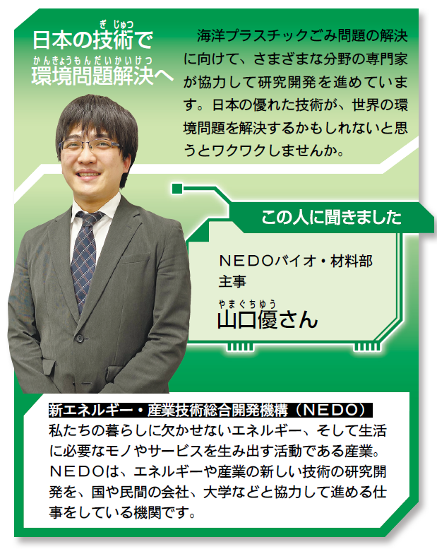 img_asa_202502_Person_YamaguchiYu.png