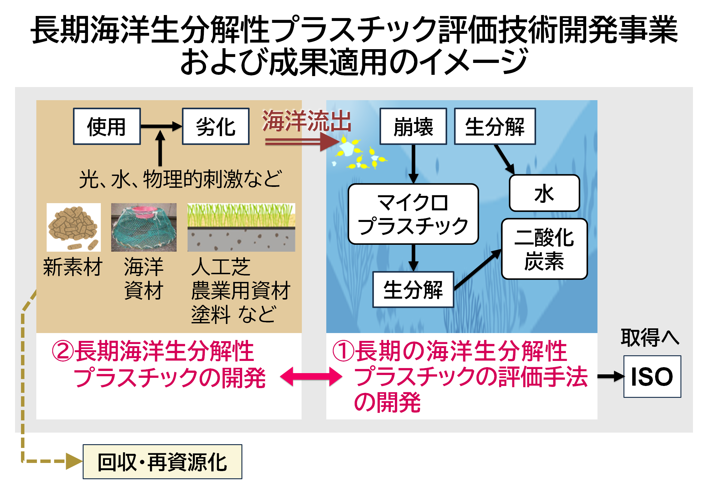 img_nikkan_251119_Fig_MarineBiodegradablePlastics_2.png