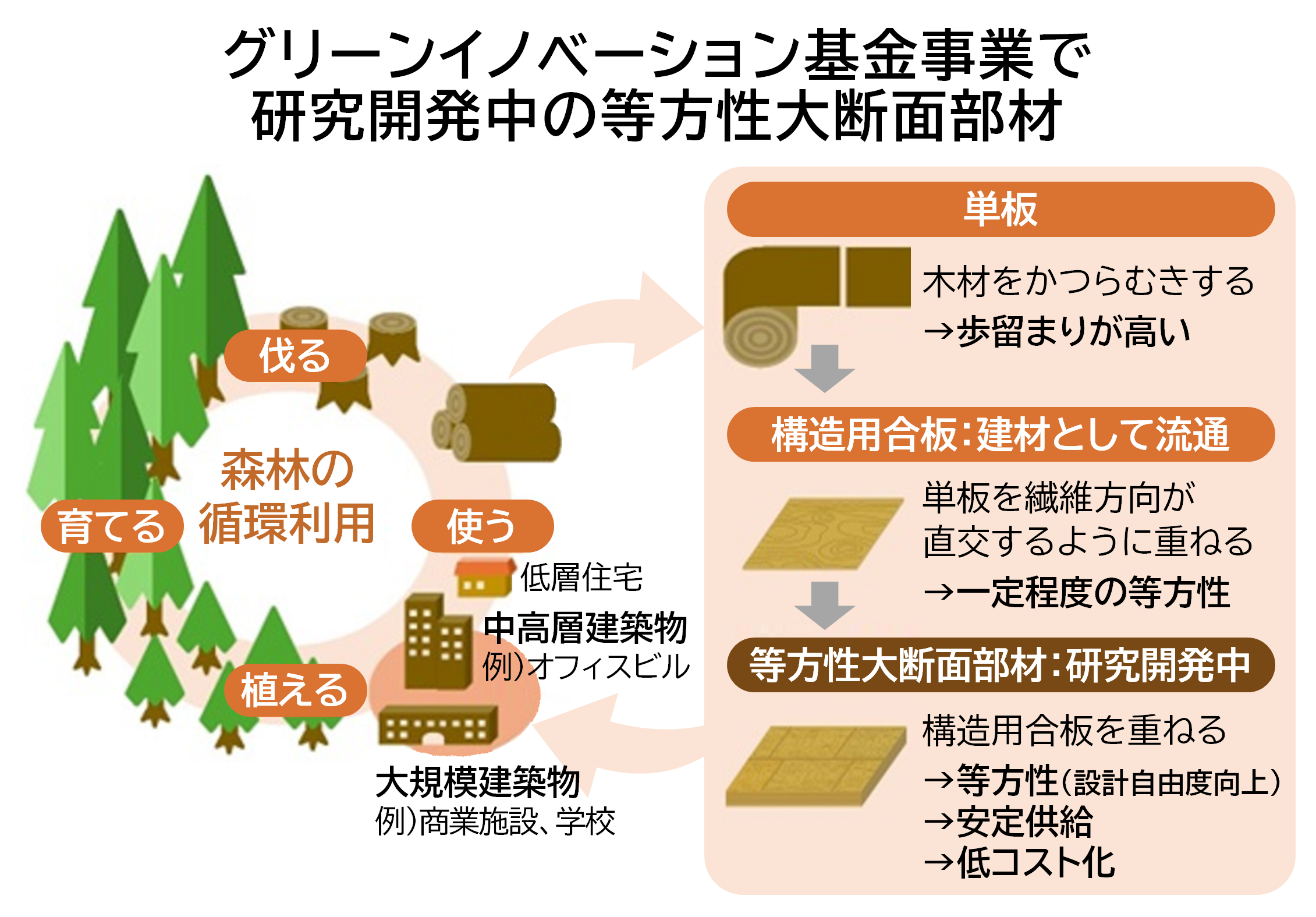 img_nikkan_260107_Fig_Wood_1.png