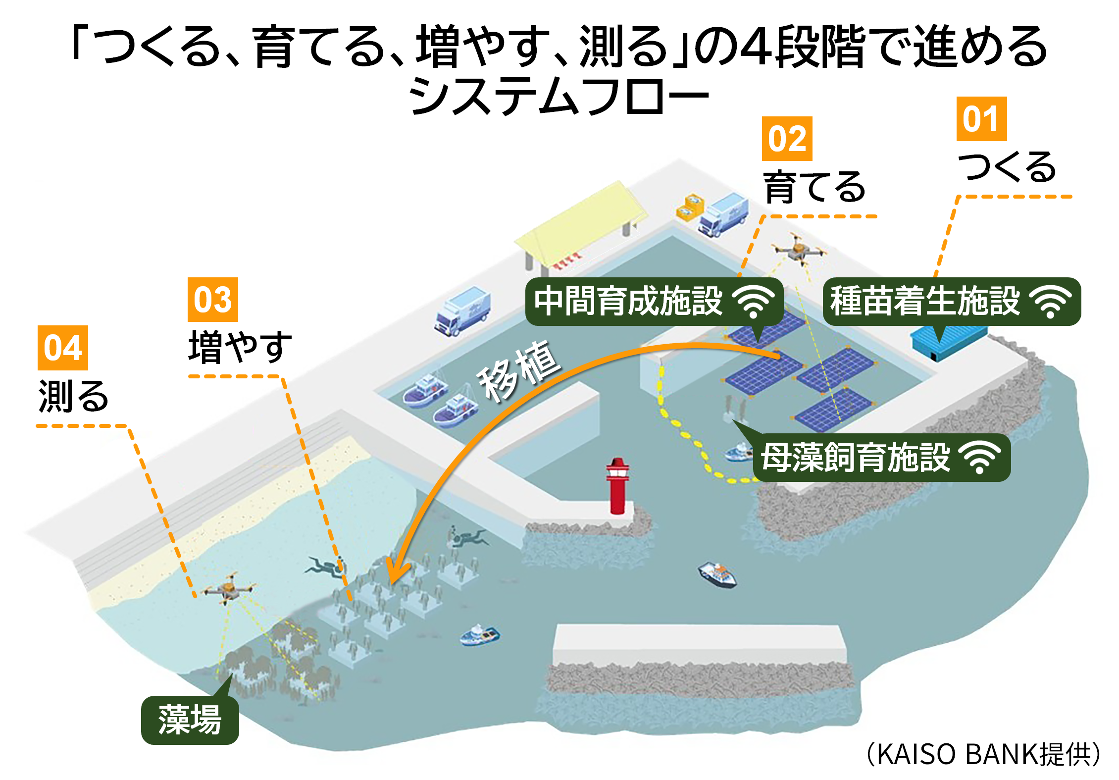 img_nikkan_260610_Fig_SeaweedSystemFlow_1.png