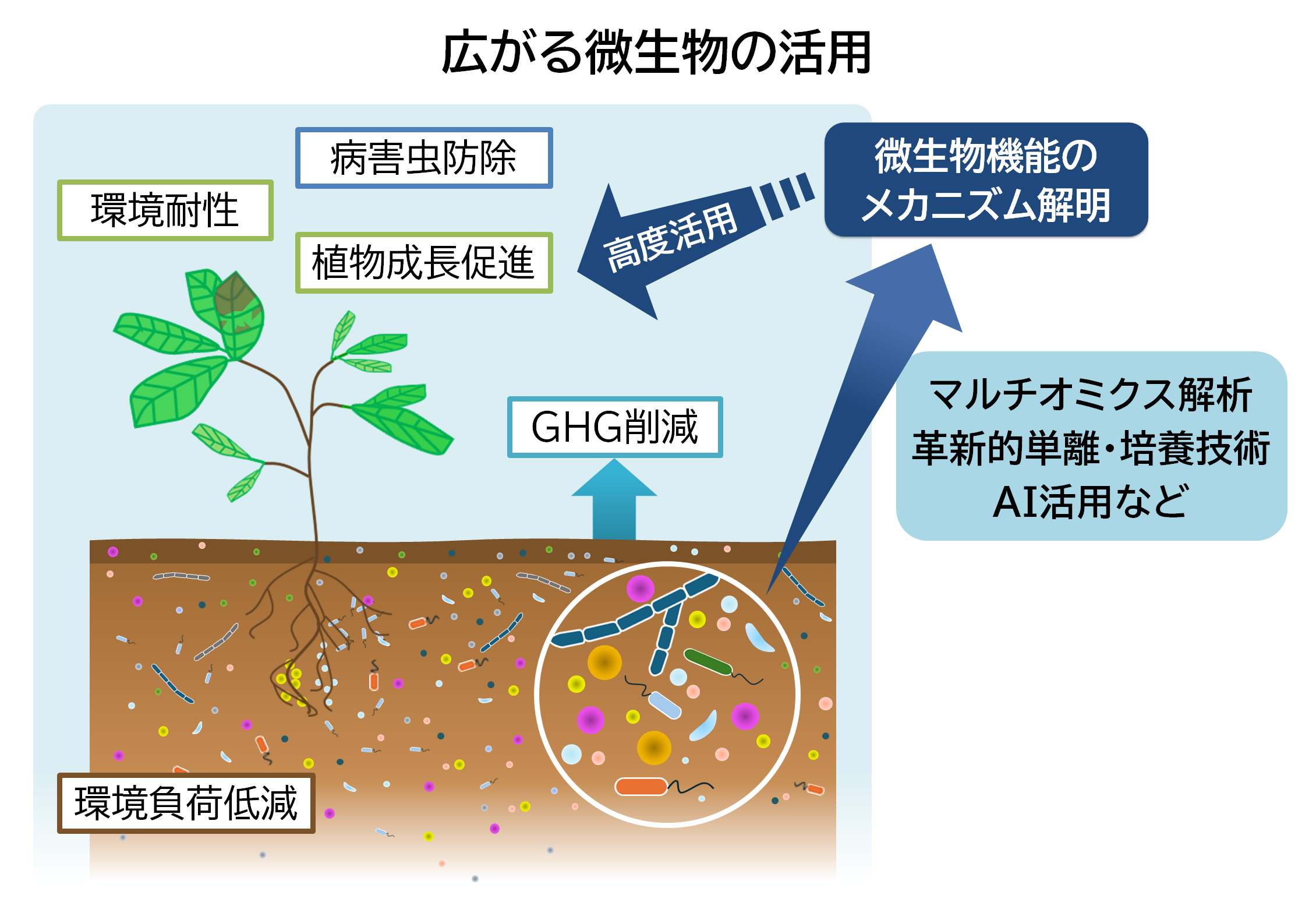 img_nikkan_260903_Fig_Microorganisms_1.png