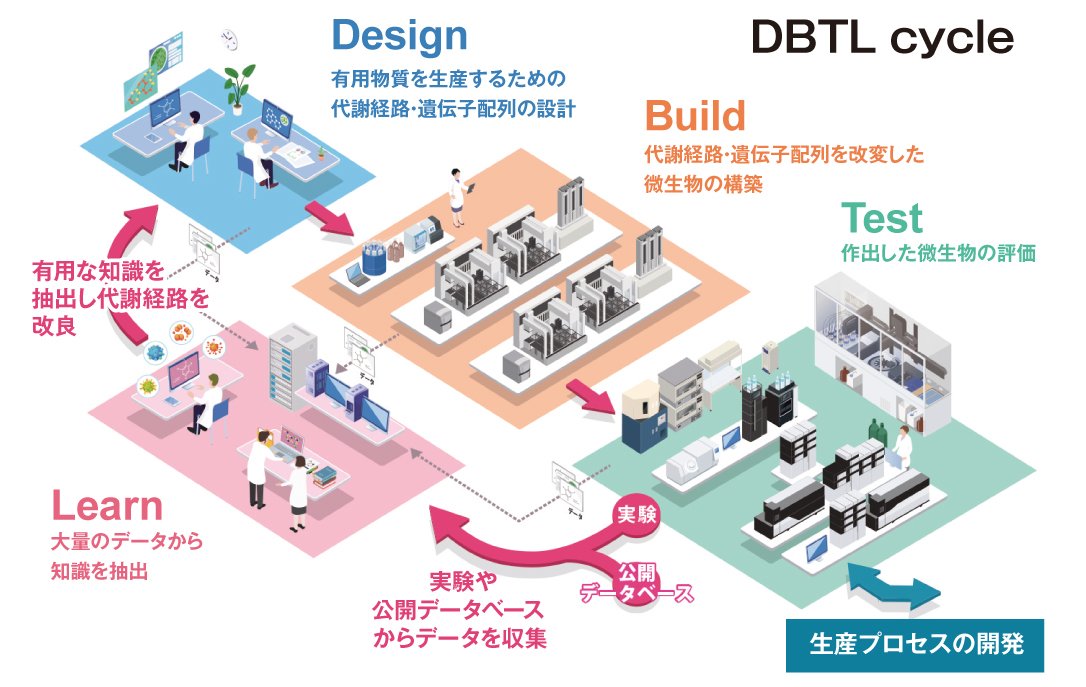 図｜DBTL cycle