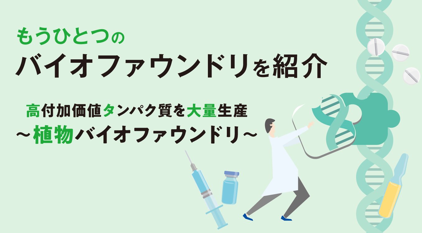 もうひとつのバイオファウンドリを紹介｜高付加価値タンパク質を大量生産～植物バイオファウンドリ～